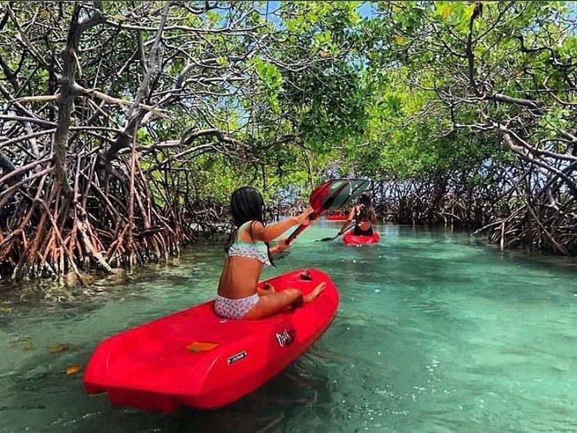 Alquiler de Barco Día Completo | Cayo Caracoles, La Parguera