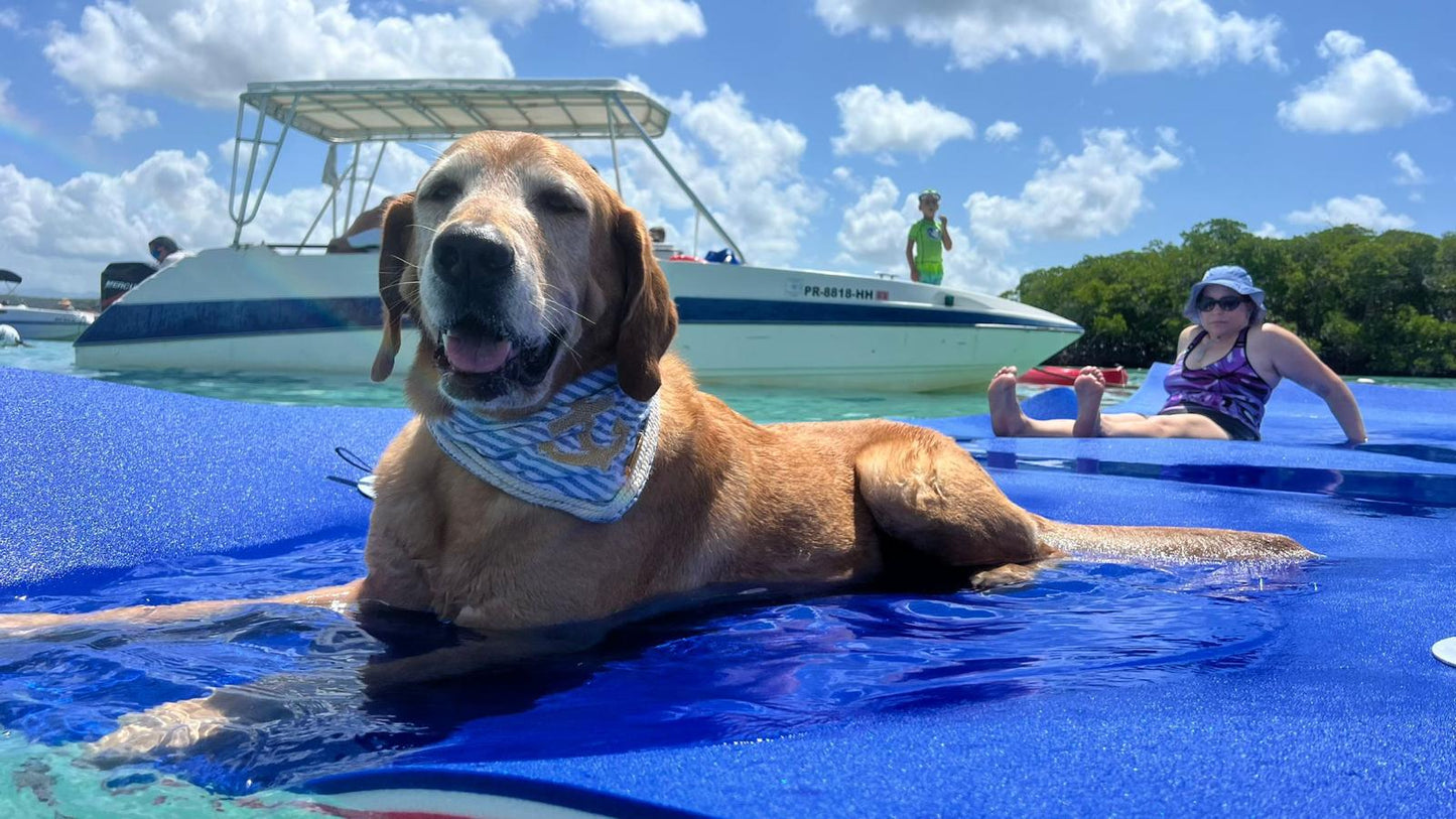 Alquiler de Barco Día Completo | Cayo Caracoles, La Parguera